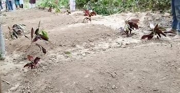 পাশাপাশি কবরে শায়িত প্রবাসী কাউসারসহ পুরো পরিবার