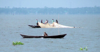 কিশোরগঞ্জের হাওরে মাছ উৎপাদনে রেকর্ড