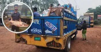 ৭ হাজার টাকা পর্যন্ত বেড়েছে ট্রাকভাড়া, বাড়ছে মাছের দাম