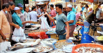 জল হারালে জীবন হারায়, মাছের ভরা বাজারে শূন্যতার গল্প