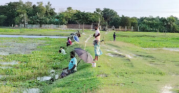 কালীগঞ্জে ‘বড়শি মৌসুমে’ মাছ শিকারিদের উৎসব