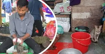 বাজারের ভিন্ন এক ব্যস্ততা, মাছ কেটেই চলে তাদের জীবিকা