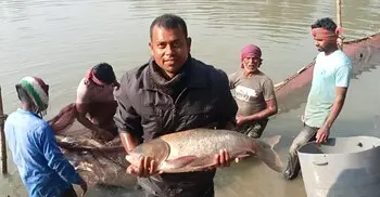 ৮০ লাখ টাকার মাছ বিক্রির আশা ইন্দ্রজিতের