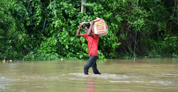 35 killed in rain-related incidents in Gujarat