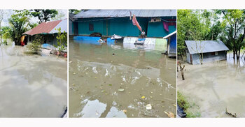 সোনাগাজীর ১১ গ্রাম প্লাবিত, তলিয়ে গেছে ঘরবাড়ি, সড়ক ও ফসলি জমি