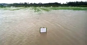 বন্যা থেকে ফসল রক্ষায় কৃষকের করণীয়