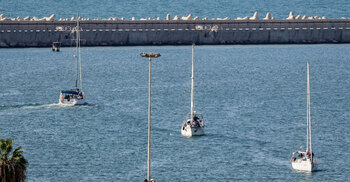 Over 400 activists from Gaza flotilla detained: Israeli official