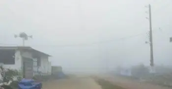 ৭ জেলায় শৈত্যপ্রবাহ, শনিবারও থাকতে পারে ঘন কুয়াশা