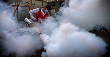 Dhaka mosquito eradication programme collapses, dengue deaths surge