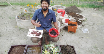 ব্রয়লার মুরগির খাদ্যে প্রোটিনের বিকল্প কেঁচোর পাউডার
