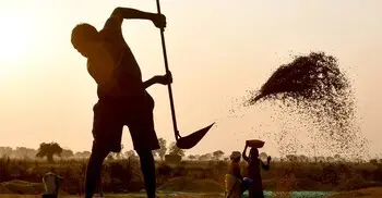 ইরান যুদ্ধের প্রভাবে বিশ্বে বেড়েছে খাদ্যের দাম