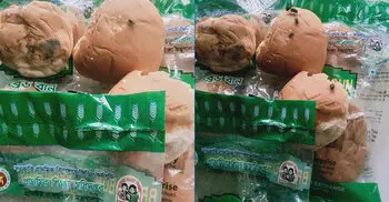 স্কুল ফিডিংয়ে পচা ডিম-ছত্রাকযুক্ত রুটি সরবরাহের অভিযোগ