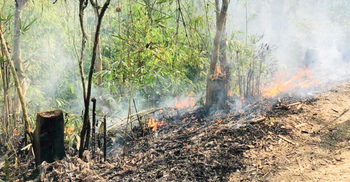 মৌলভীবাজারে ‘সিগারেটের আগুনে’ পুড়লো আড়াই একর বন