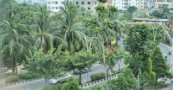 Dhaka’s first ‘urban forest’ to protect environment