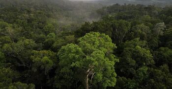 Plane crash in Brazil’s Amazon state leaves 14 dead