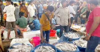 ফরিদপুরে রাতভর ইলিশ মেলায় মানুষের ঢল