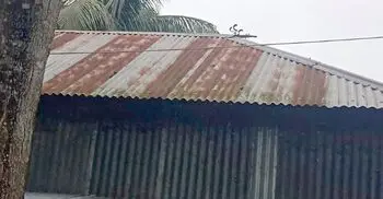 টিনের চালের ওপর ছিঁড়ে পড়ল বিদ্যুতের তার, যুবক নিহত