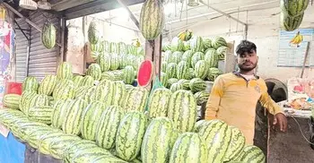 শেষ সময়ে খুলনার ছোট তরমুজ স্বাদে এগিয়ে, দাম চড়া