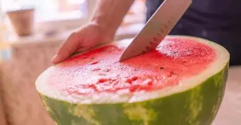 তরমুজের বীজ পরিষ্কার করার সহজ উপায়