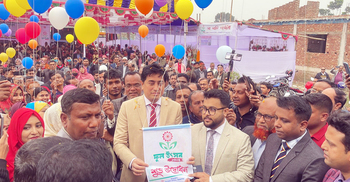 গদখালিতে শুরু ফুল উৎসব