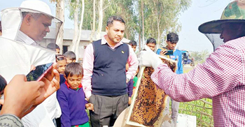 মধু বিক্রি নিয়ে শঙ্কায় খামারি সাদা মিয়া