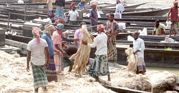 সোনালি আঁশে হতাশার ছাপ, মুখ ফিরিয়ে নিচ্ছেন চাষিরা