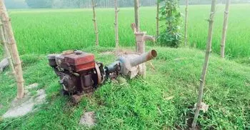 তেল সংকটে সেচ না পেয়ে হতাশায় কৃষক