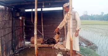 চার সেচপাম্পে বিদ্যুৎ বিচ্ছিন্ন, শত বিঘা জমির বোরো আবাদে অনিশ্চয়তা