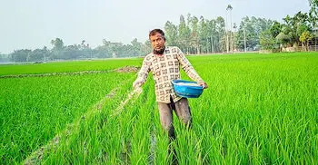 সার সিন্ডিকেটের কাছে অসহায় কৃষক, বাড়ছে উৎপাদন খরচ