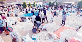 উৎপাদন খরচ উঠছে না রসুন চাষিদের, প্রতি মণে লোকসান হাজার টাকা