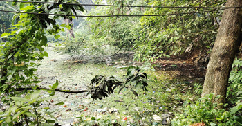 আবর্জনায় ভরা ডোবা-নালা, দুর্গন্ধ-মশায় অতিষ্ঠ পৌরবাসী