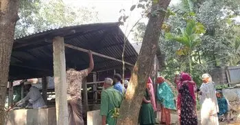 আগুনে পুড়ে মরলো খামারির ৫ গরু