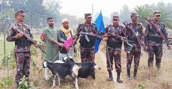 পতাকা বৈঠকে তিন ছাগল ফেরত দিলো বিএসএফ