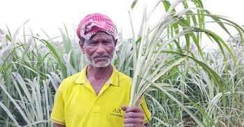 ঘাস চাষে কোটিপতি গফুর মিয়া