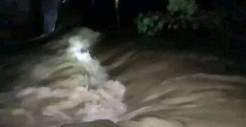 ভেঙে গেলো গোমতী নদীর বাঁধ