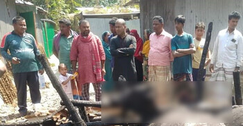 আগুনে পুড়ে মারা গেলো ৮ গবাদিপশু, বাঁচাতে গিয়ে দগ্ধ গৃহকর্তা