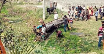সাতক্ষীরায় গরুবোঝাই ভ্যান খাদে পড়ে নিহত ২