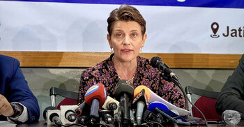 Participation of people, not parties determinant of polls inclusivity: Gwyn Lewis