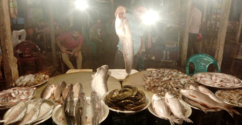 বাজারে আসছে হাওরের মাছ, দাম চড়া