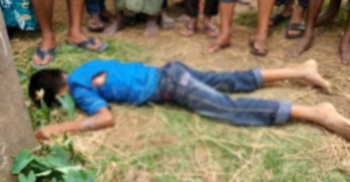 পাখির বাসা ভাঙতে গিয়ে বিদ্যুৎস্পৃষ্টে শিশুর মৃত্যু