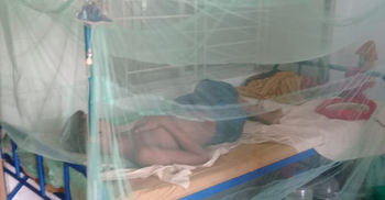 হবিগঞ্জে ৩ ডেঙ্গু রোগী হাসপাতালে ভর্তি