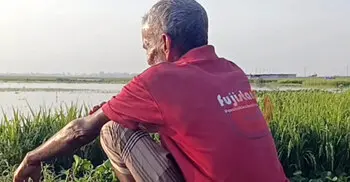 পানির নিচে ১০ হাজার বিঘা জমির ধান, দিশেহারা হাওরের হাজারো কৃষক