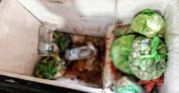 নোংরা-স্যাঁতস্যাঁতে পরিবেশে খাবার তৈরি, ৫ প্রতিষ্ঠানকে জরিমানা