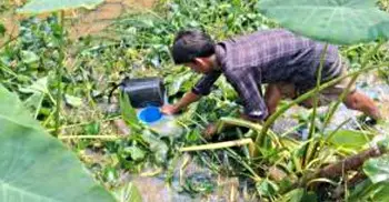 দুর্ঘটনাকবলিত ট্রেন থেকে বালতি-পাতিল নিয়ে তেল লুটের হিড়িক