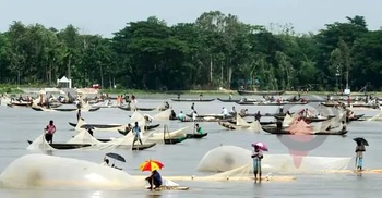 হালদাকে মৎস্য হেরিটেজ ঘোষণা, মাছ ও জলজ প্রাণী শিকার নিষিদ্ধ