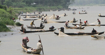 Halda River declared first-ever fisheries heritage site in Bangladesh