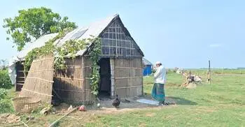 হাওরে পরিবারহীন জিরাতিদের জীবনে নেই ঈদের ছোঁয়া