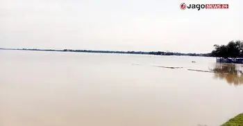 হাওরে পানি কমলেও ধানের আশা ছেড়ে দিচ্ছেন কৃষকরা