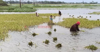 NCP submits memo seeking support for flood-affected farmers
