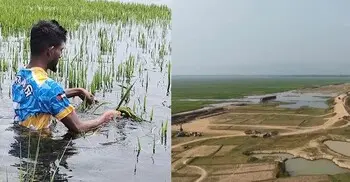 হাওরপাড়ের কৃষকের কান্না শুনবে কে?